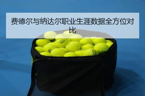 费德尔与纳达尔职业生涯数据全方位对比